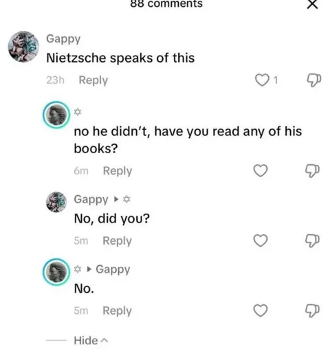 Nietzsche Book Comment Argument