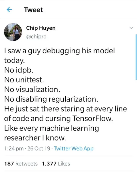 Debugging a Machine Learning Model