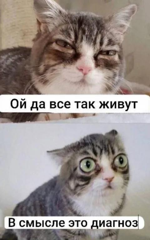 Когда всё оказалось диагнозом