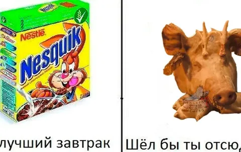 Лучший завтрак и свинья