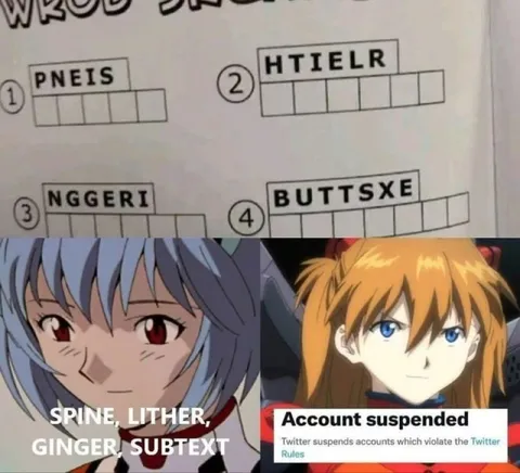 Evangelion Account Suspended