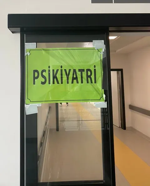 Psikiyatri Kapısına Giriş