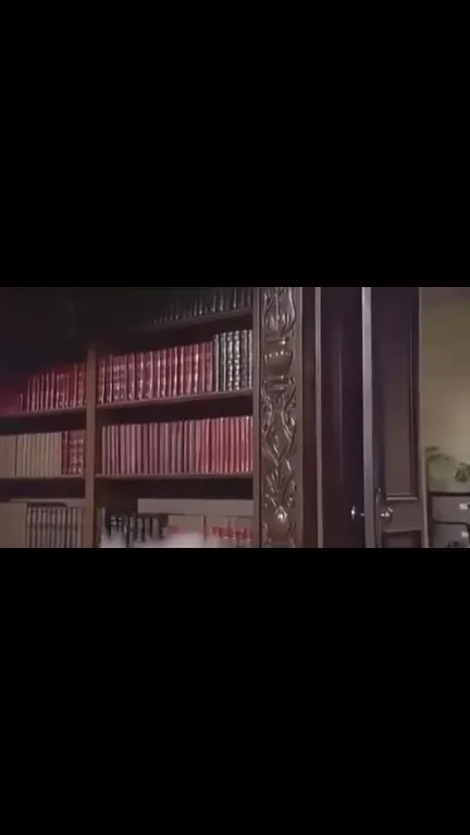 Пёс устраивает хаос в офисе