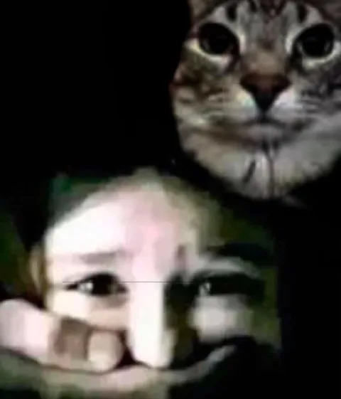 Кот над удивлённым младенцем