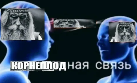Корнеплодная связь