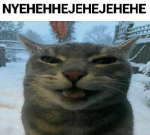 NYEHEHHEJEHEJEHEHE Cat