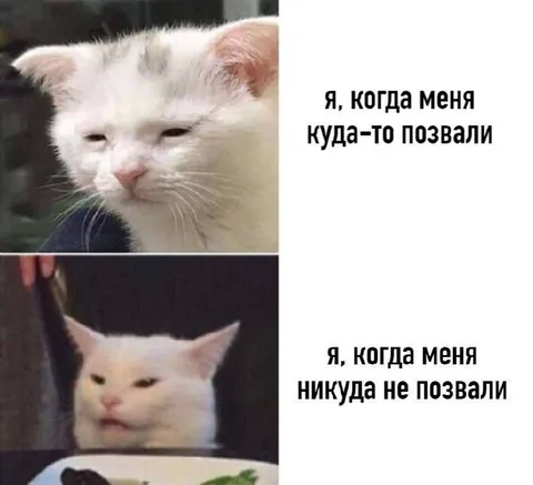 Когда позвали и не позвали