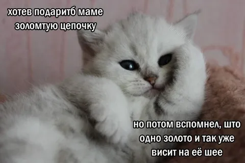 Золотая цепочка для мамы