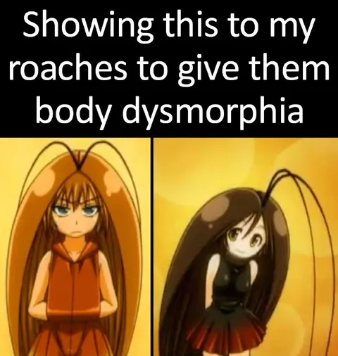 Roaches Body Dysmorphia