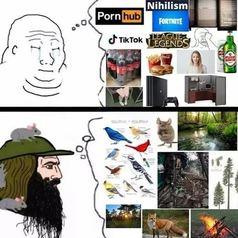 Modern Distractions vs Nature
