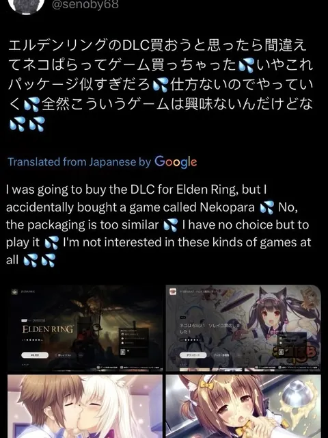 エルデンリングとネコぱらを間違える