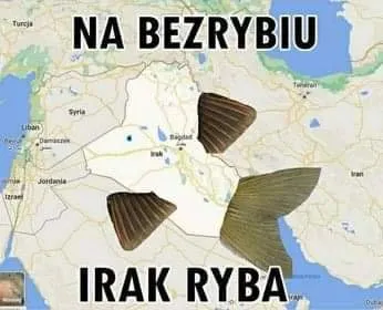 Na bezrybiu Irak ryba