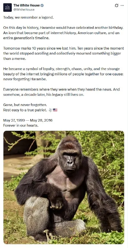 Harambe Memorial Post