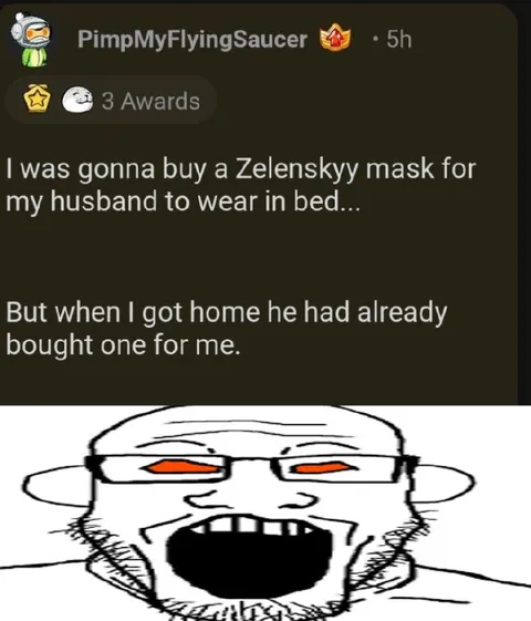 Zelenskyy Mask for Husband