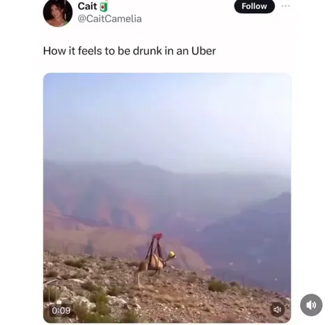 Drunk in an Uber