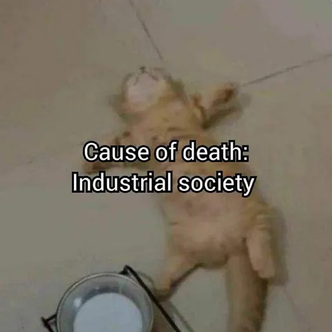Industrial Society Cause of Death