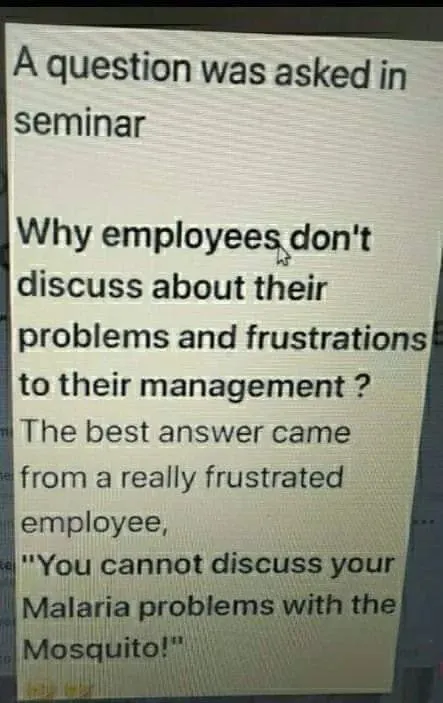 You Cannot Discuss Problems with Mosquitoes