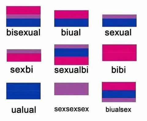 Bisexual Flag Word Mashup