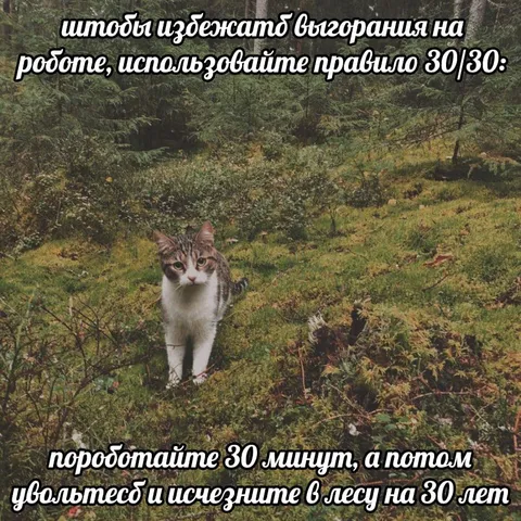 Правило 30/30 против выгорания