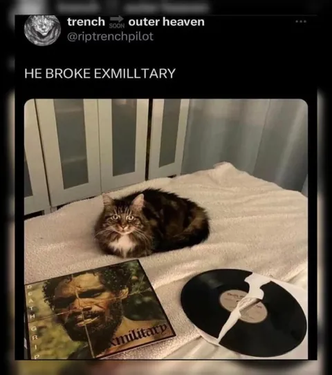 Cat Broke Exmilitary Vinyl