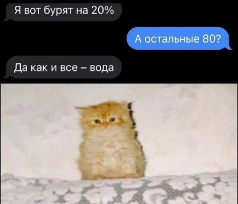 Бурят на 20 процентов
