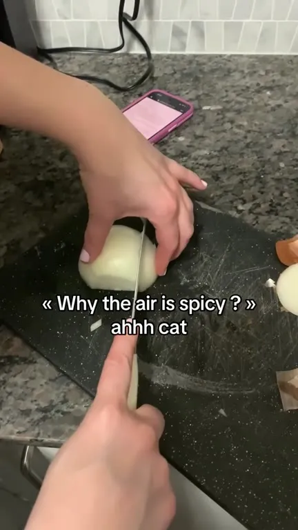 Why Is the Air Spicy? Cat