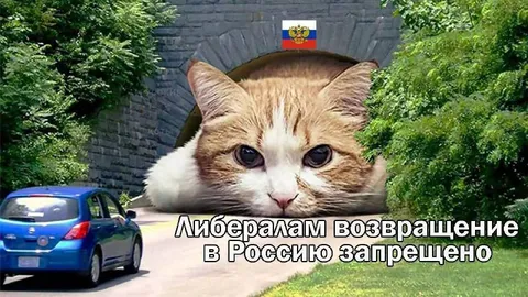 Либералам возвращение запрещено