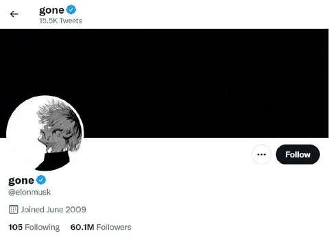 Elon Musk Gone Profile