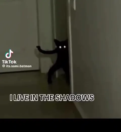 Black Cat Batman Mission