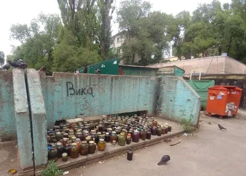 Вика среди банок