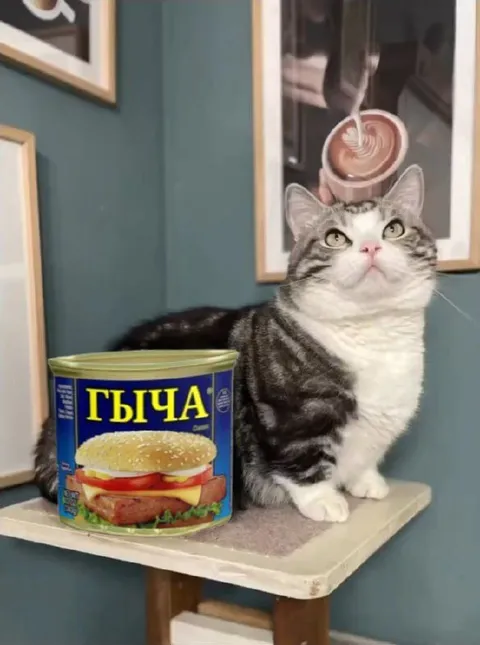 Кот и банка ГЫЧА