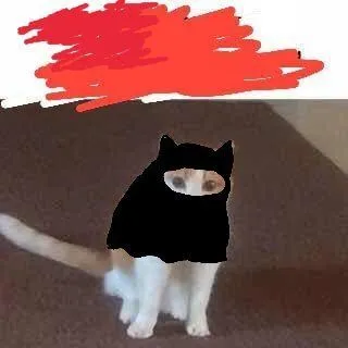 Чёрный кот с белой мордочкой