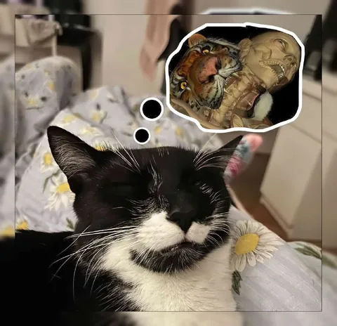 Кот думает о тигре