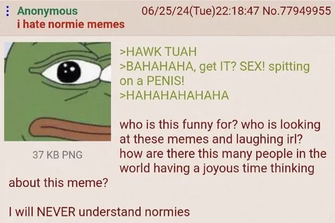 I Hate Normie Memes