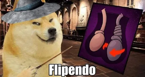 Doge Casting Flipendo
