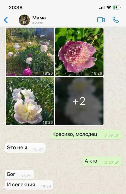 Это не я, а Бог и селекция