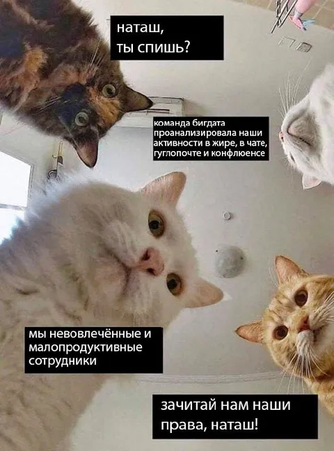Наташ, зачитай наши права