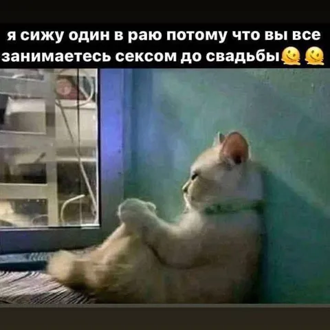 Один в раю до свадьбы