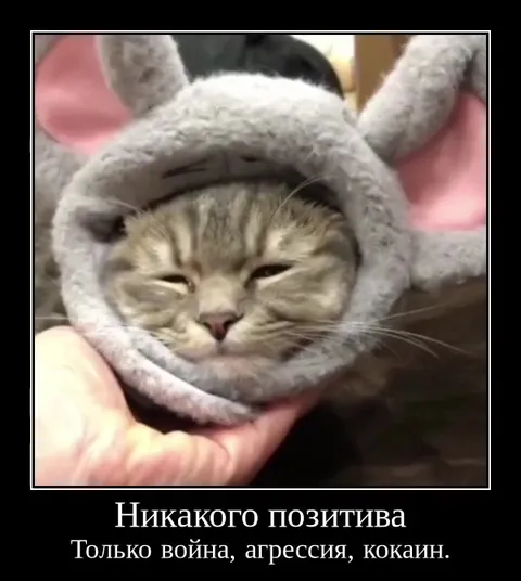 Никакого позитива, только война
