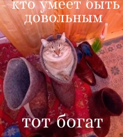 Кот, умеющий быть довольным