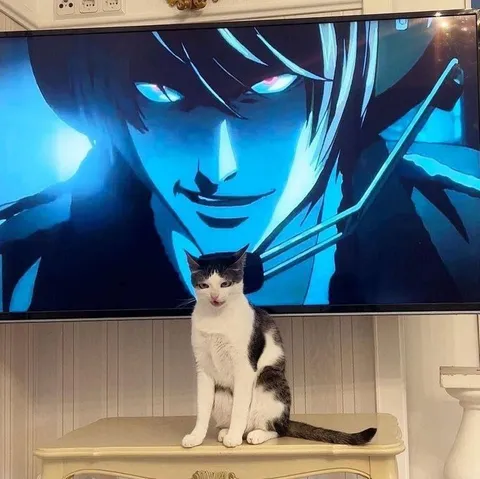 Кот перед зловещим аниме