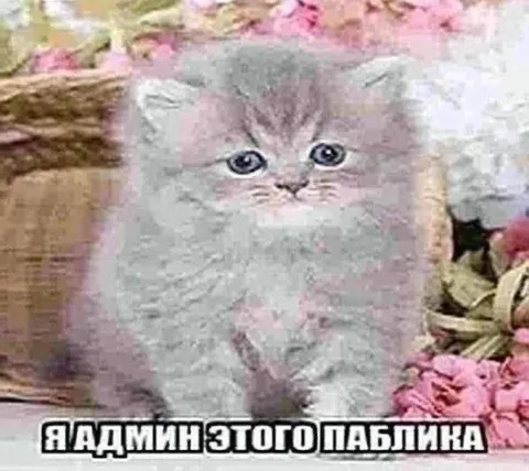 Админ этого паблика