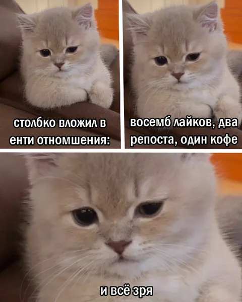 Всё вложил в отношения зря
