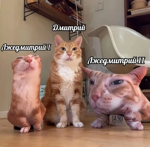 Три кота Дмитрия