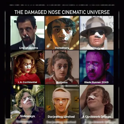The Damaged Nose Cinematic Universe