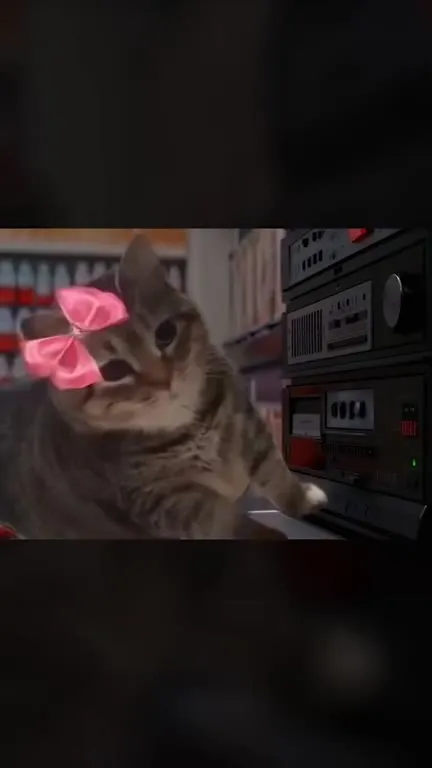 Кошачий шопинг под After Dark