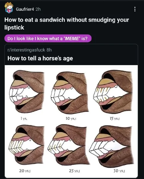 How to Tell a Horse’s Age