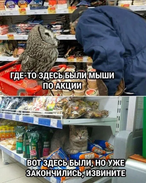 Мыши по акции закончились