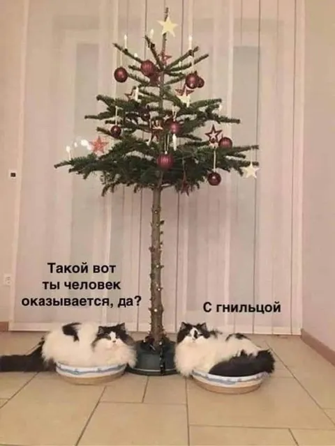 Ёлка с гнильцой