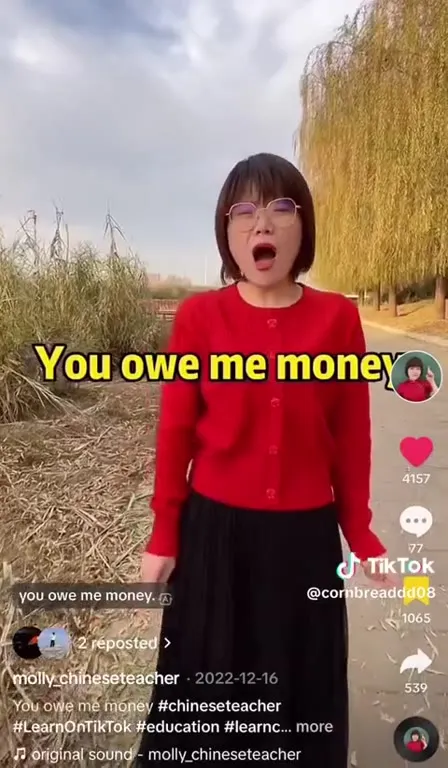 Chinese Phrases for Every Situation